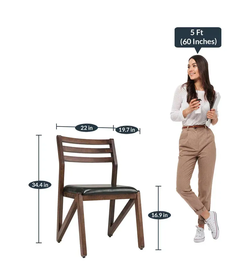 Adlis Solid Wood Dining Chairs in Green Colour.jpg2.webp