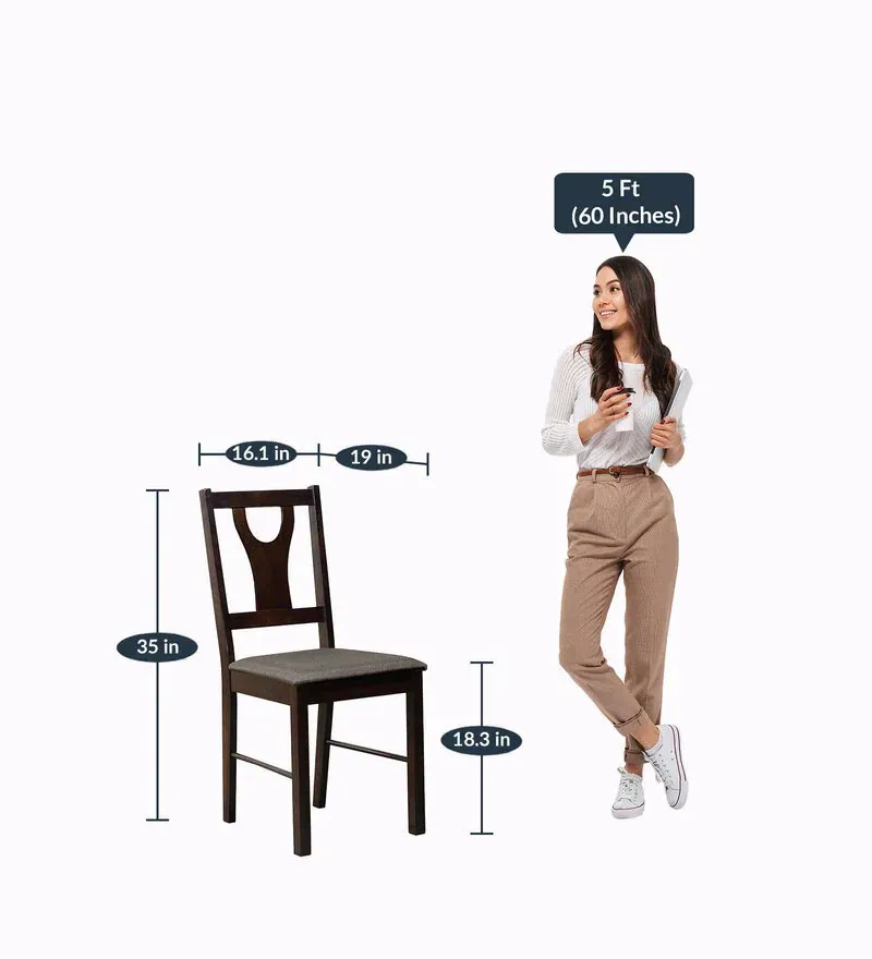 Apate 4 Seater Dining Set in Wenge Finish.jpg3.webp