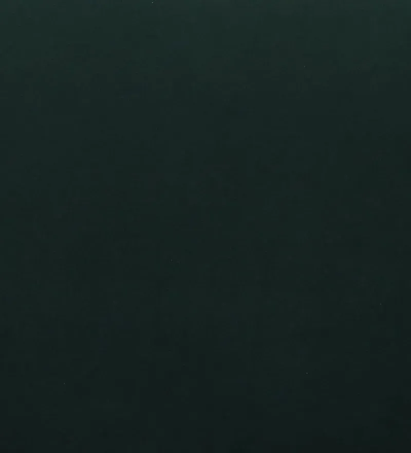 Aryo Fabric Dining Chair In Green Colour.jpg8.webp