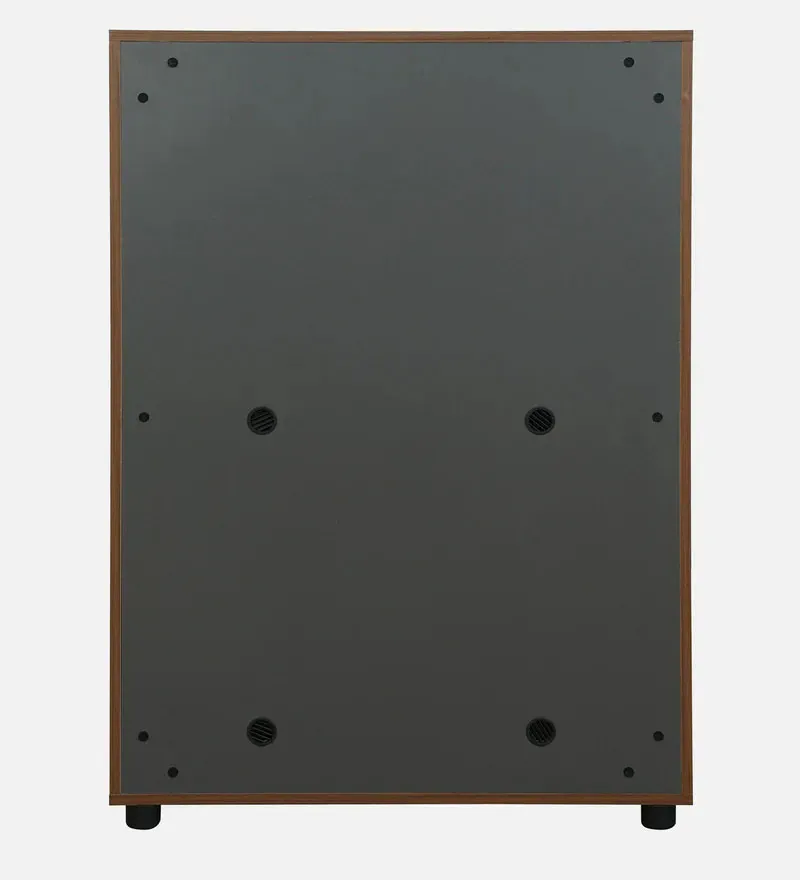 Cindy Shoe Cabinet In Wenge Finish.jpg5.webp