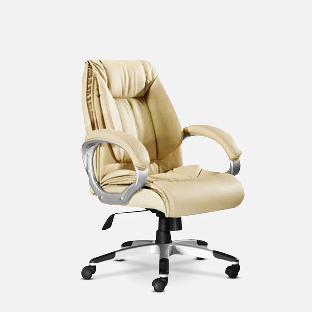 Executive-Chair-in-Cream-Colour-by-Adiko-Systems.jpg4_.jpg
