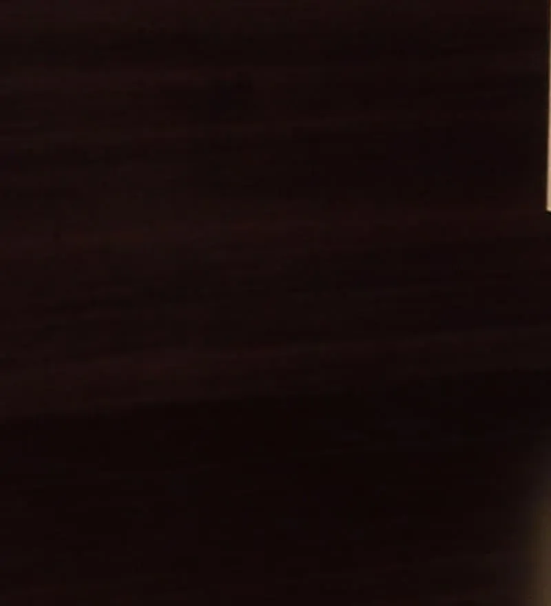 Nikki King Size Bed in Wenge Finish.jpg8.webp