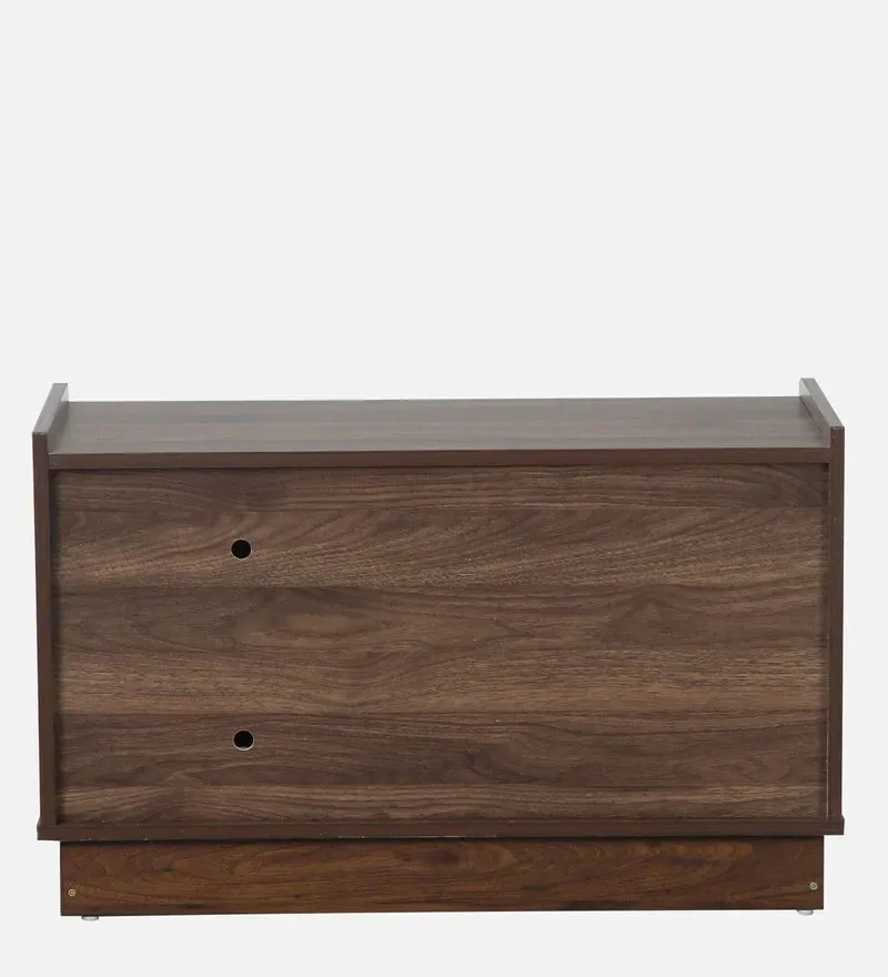 Nobuyuki Shoe Cabinet in Columbia Walnut Finish.jpg5.webp